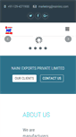 Mobile Screenshot of nainiinc.com