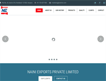 Tablet Screenshot of nainiinc.com